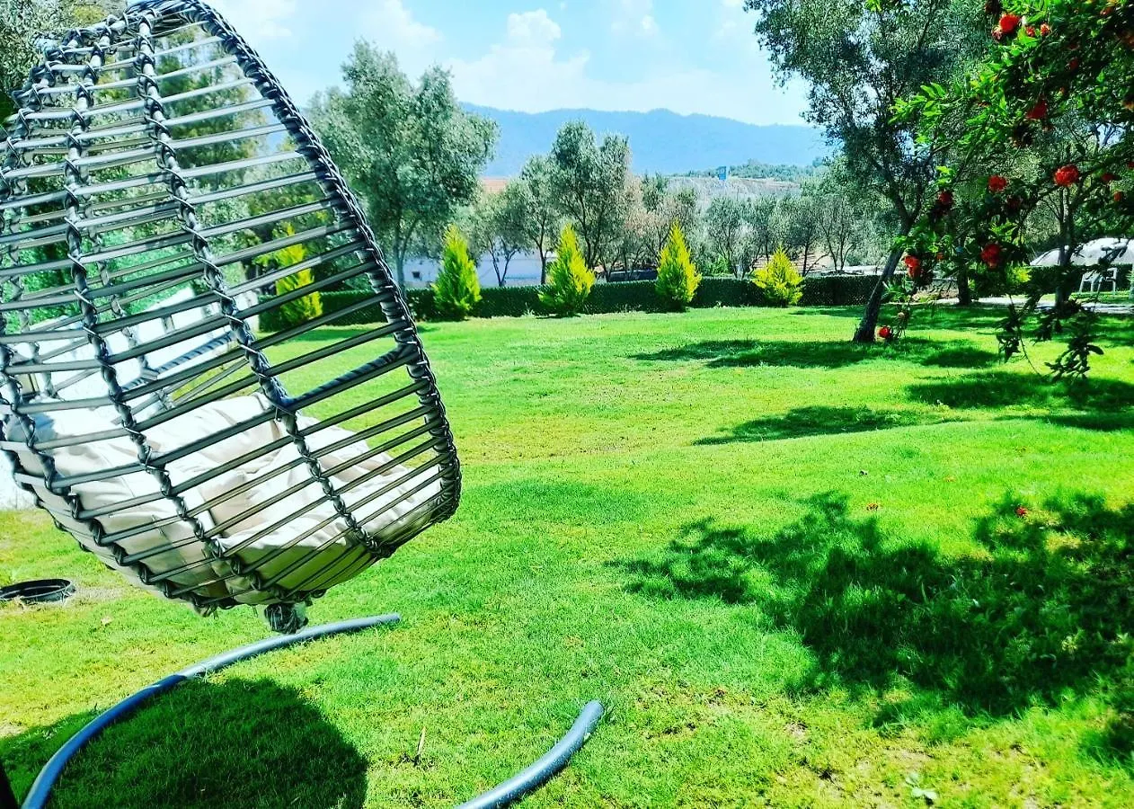 Infinity Ruby Hotel Kargi